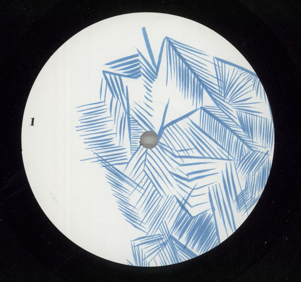 Anohni & The Johnsons The Crying Light US vinyl LP album (LP record) A&JLPTH870835