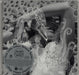 Björk Vespertine UK vinyl LP album (LP record) TPLP101DMM