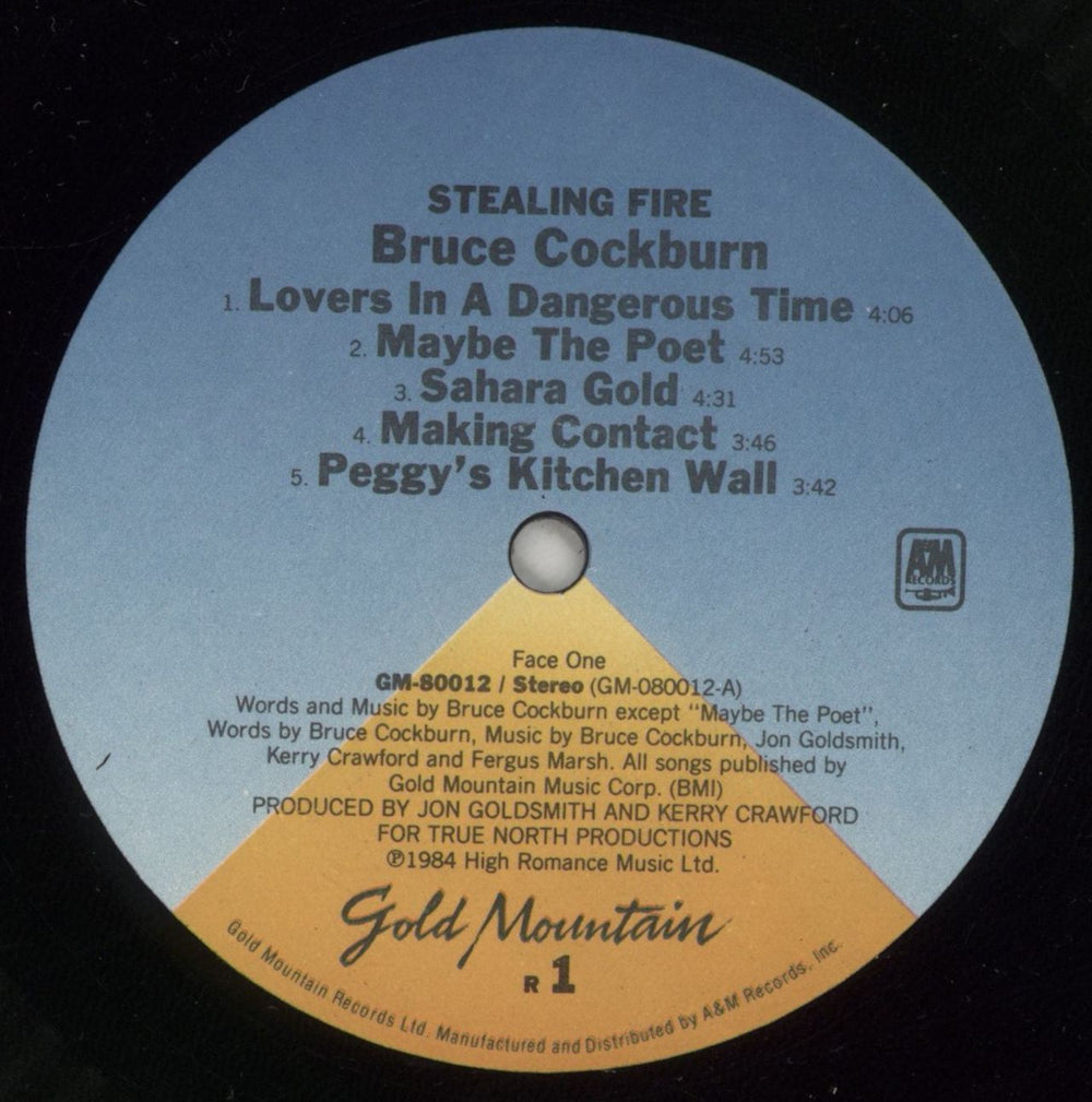 Bruce Cockburn Stealing Fire US vinyl LP album (LP record) BUKLPST337227