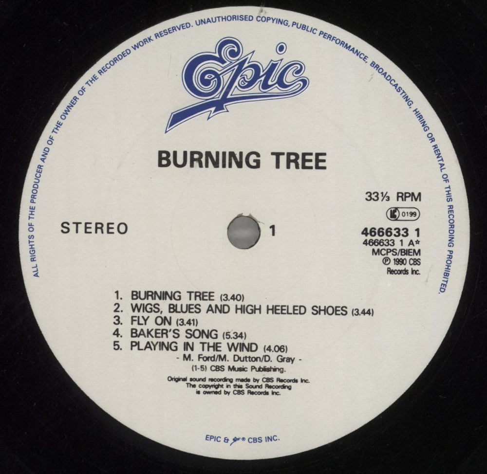 Burning Tree Burning Tree UK vinyl LP album (LP record) BP9LPBU420608