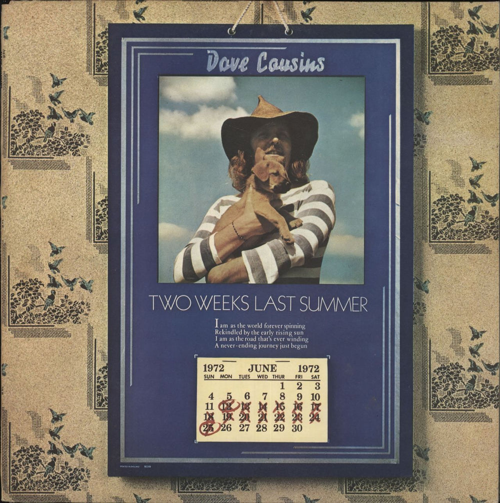 David Cousins Two Weeks Last Summer - EX UK vinyl LP album (LP record) AMLS68118