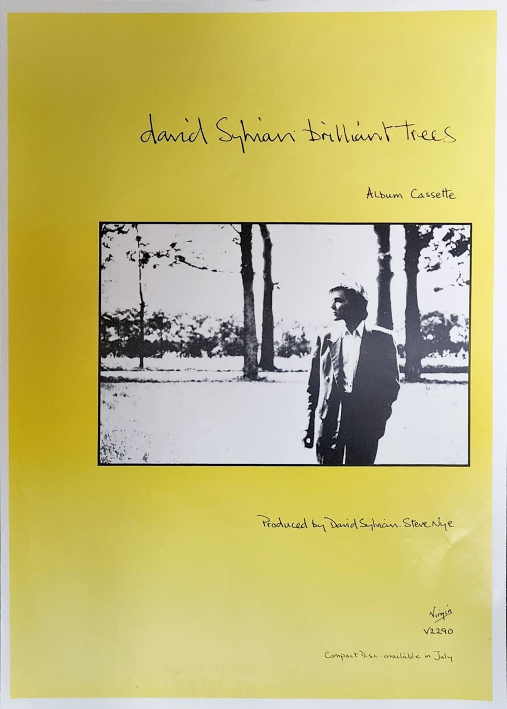 David Sylvian Brilliant Trees UK Promo poster 24 X 18