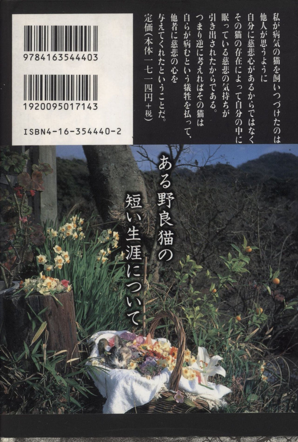 David Sylvian Two Everything And Nothing - Japanese book & Two Promo CDs UK Promo CD single (CD5 / 5") SYLC5TW855598