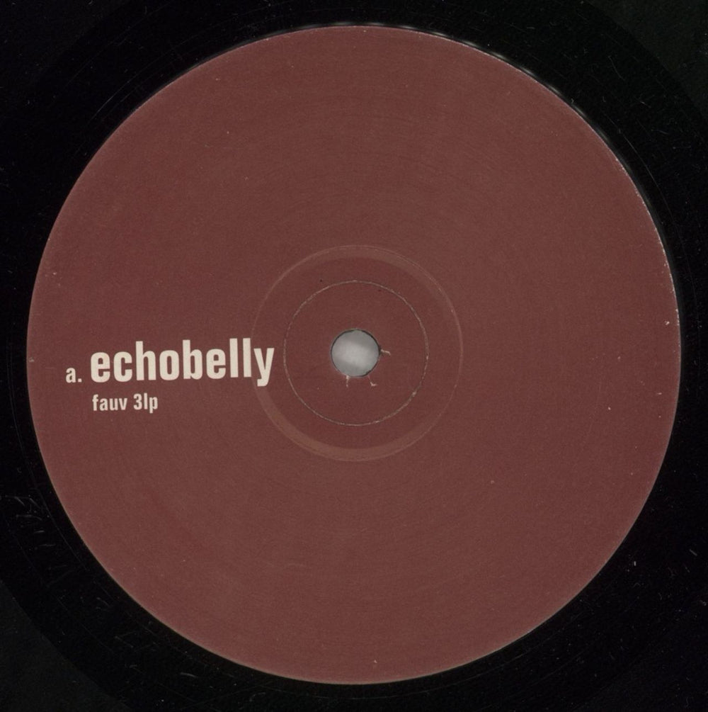Echobelly Everyone's Got One UK vinyl LP album (LP record) ECBLPEV765817
