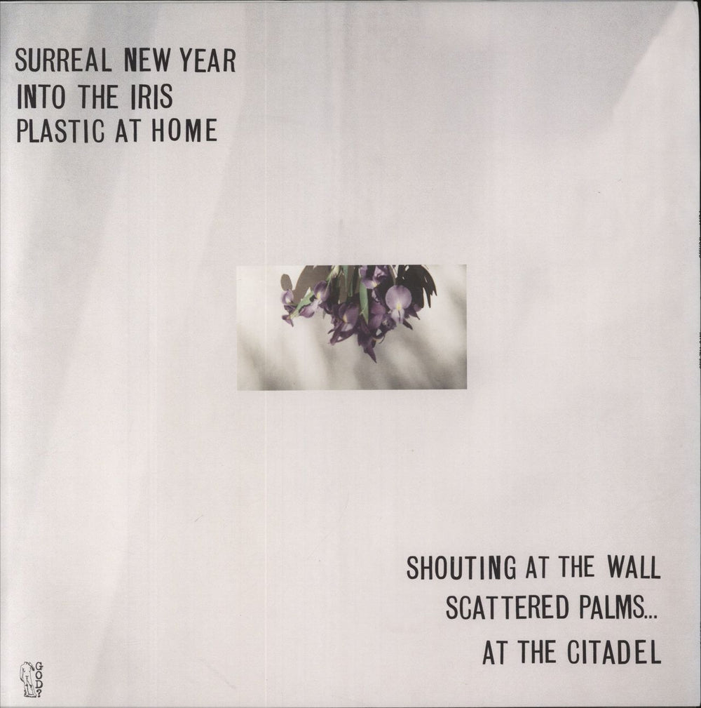 Flat Worms Into The Iris US 12" vinyl single (12 inch record / Maxi-single)