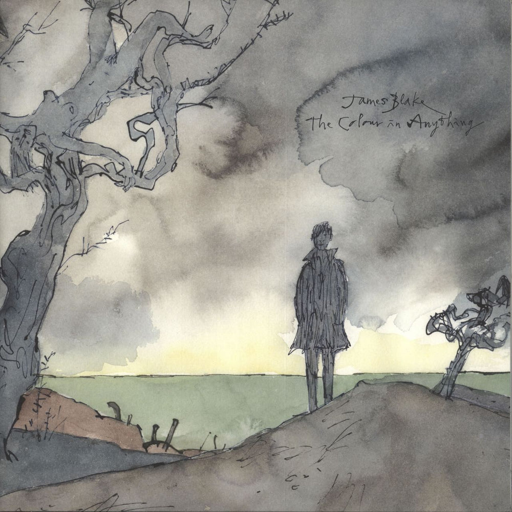 James Blake The Colour In Anything UK vinyl LP album (LP record) 00602547933331