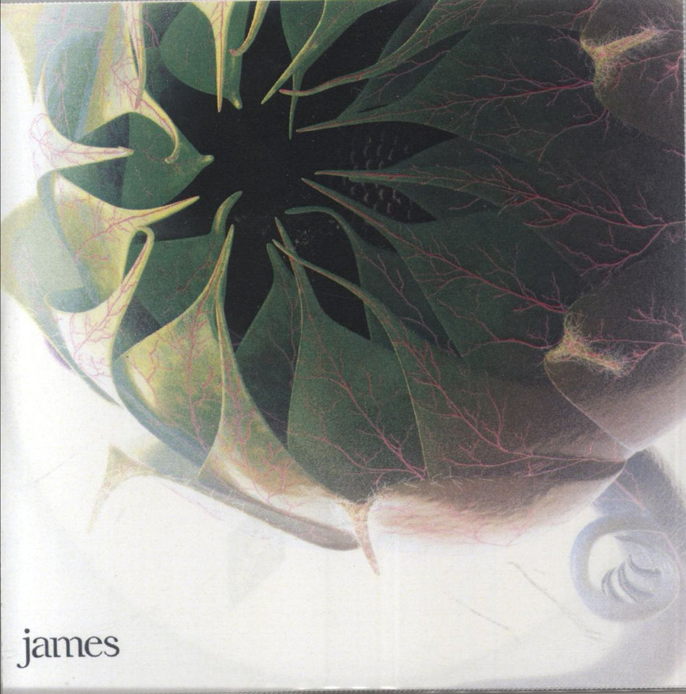 James Look Away UK Promo CD-R acetate