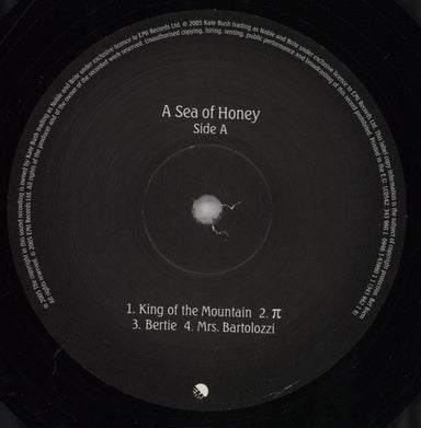 Kate Bush Aerial - 1st UK 2-LP vinyl record set (Double LP Album) BUS2LAE526944