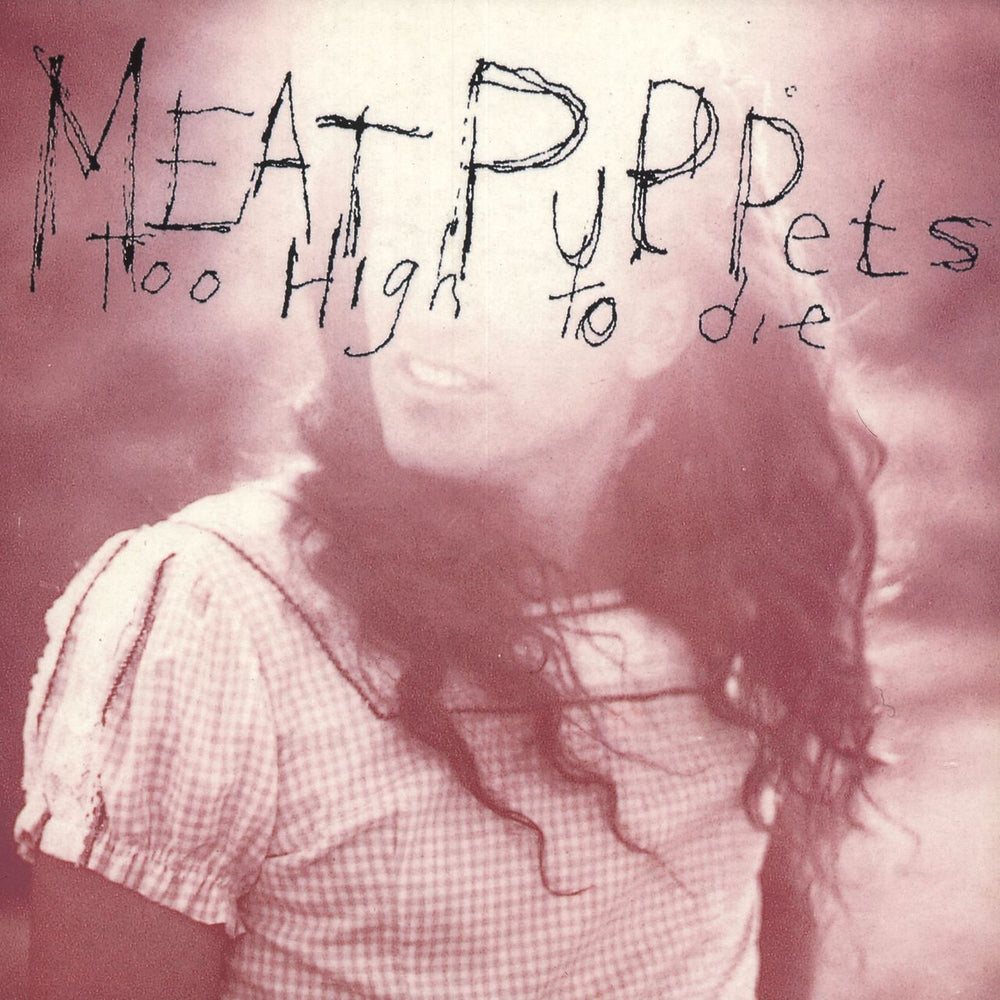 Meat Puppets Too High To Die - VG UK vinyl LP album (LP record) 828484-1