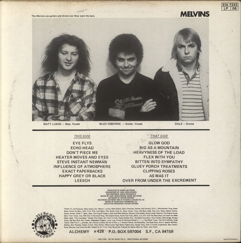 Melvins Gluey Porch Treatments French vinyl LP album (LP record)