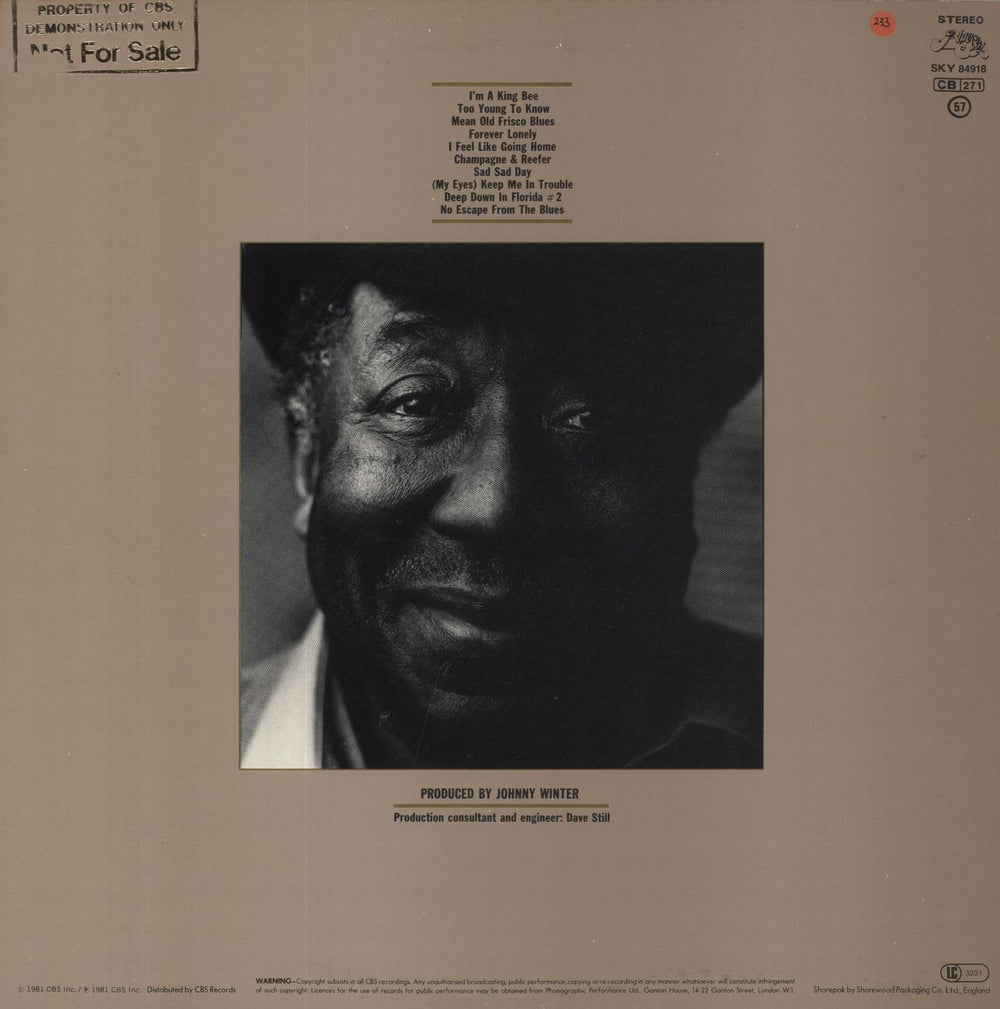 Muddy Waters King Bee - Demonstration Stamped UK vinyl LP album (LP record)