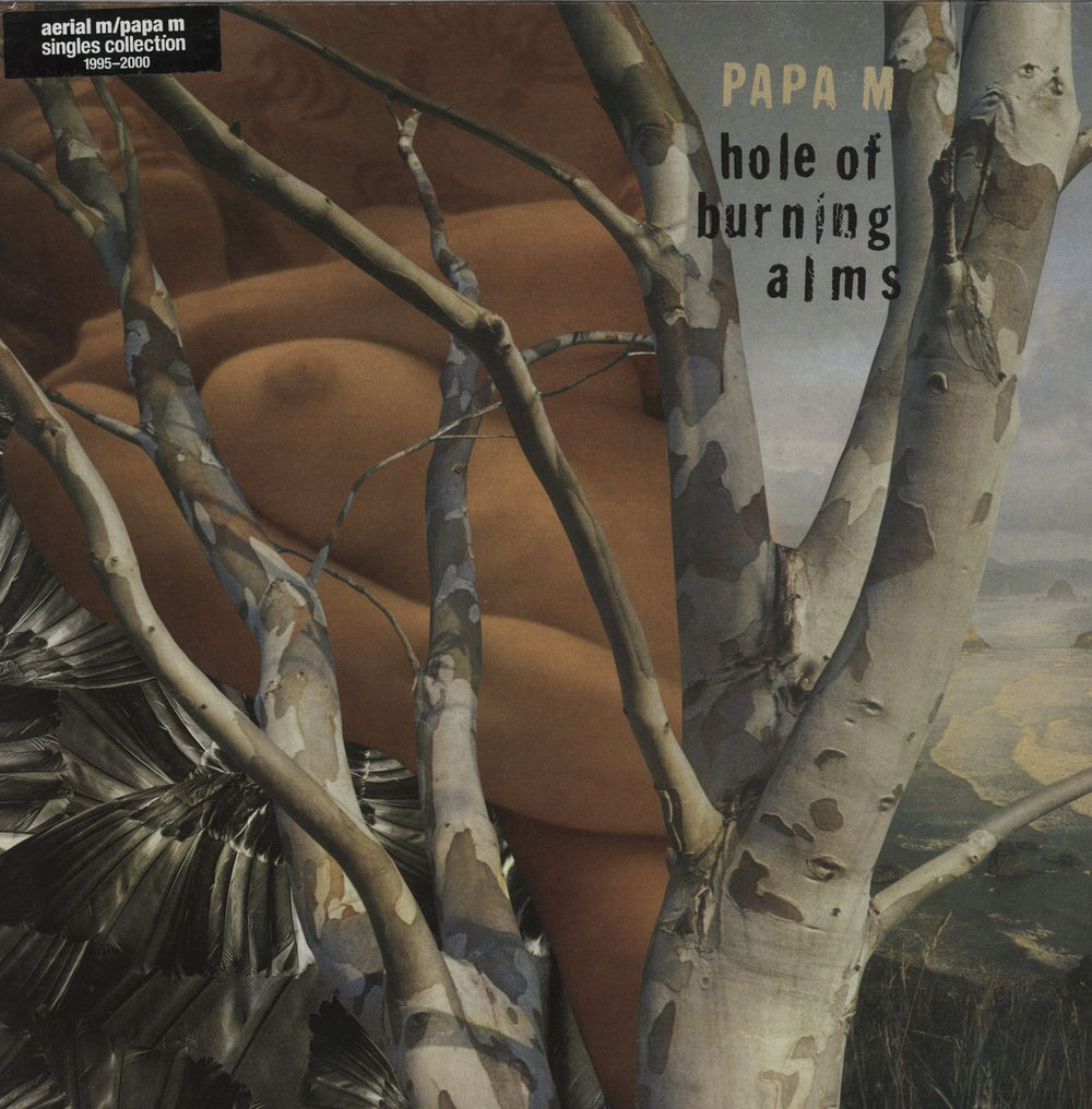 Papa M Hole Of Burning Alms UK 2-LP vinyl record set (Double LP Album) WIGLP139