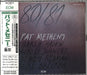 Pat Metheny 80/81 Japanese 2 CD album set (Double CD) J45J20311/2
