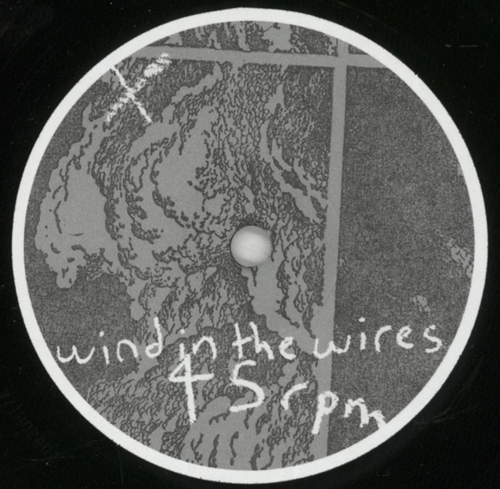 Patrick Wolf Wind In The Wires  German 7" vinyl single (7 inch record / 45) PWF07WI878881