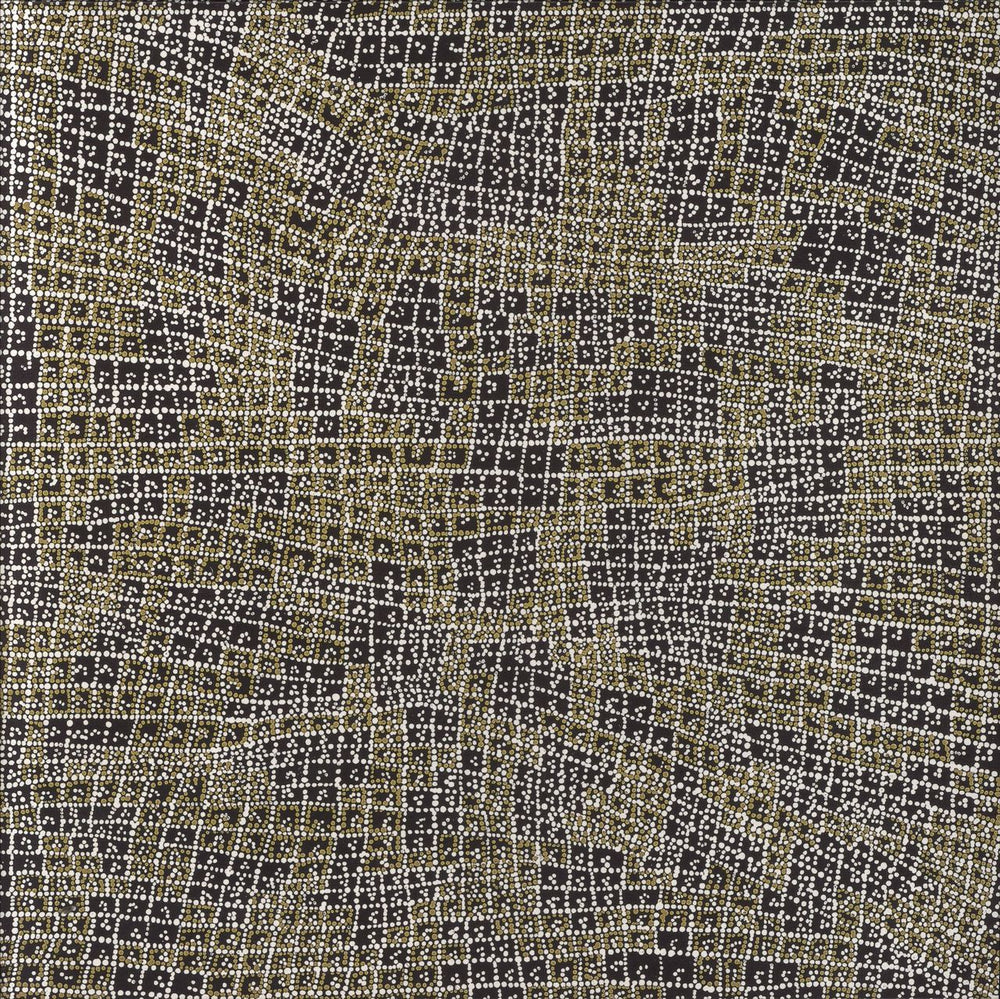 Peter Gabriel Long Walk Home - 180gm - EX UK 2-LP vinyl record set (Double LP Album) PGLPR10X