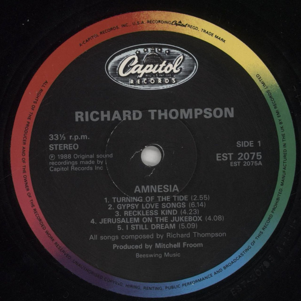 Richard Thompson Amnesia UK vinyl LP album (LP record) RTHLPAM66863