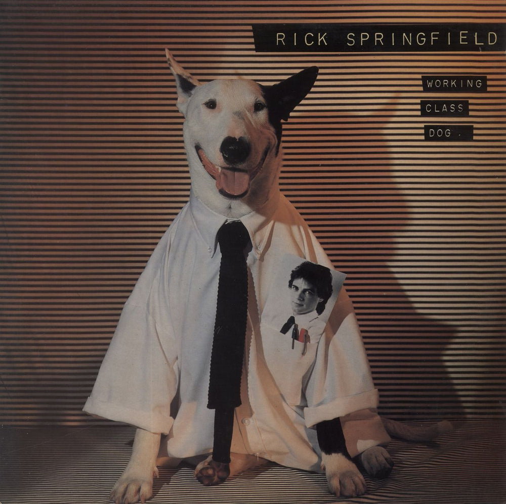 Rick Springfield Working Class Dog UK vinyl LP album (LP record) RCALP6014