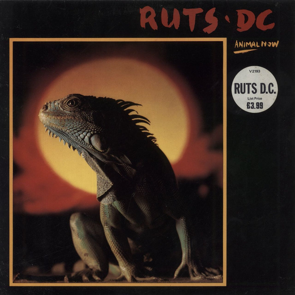 Ruts D.C. Animal Now - Hype Stickered UK vinyl LP album (LP record) V2193