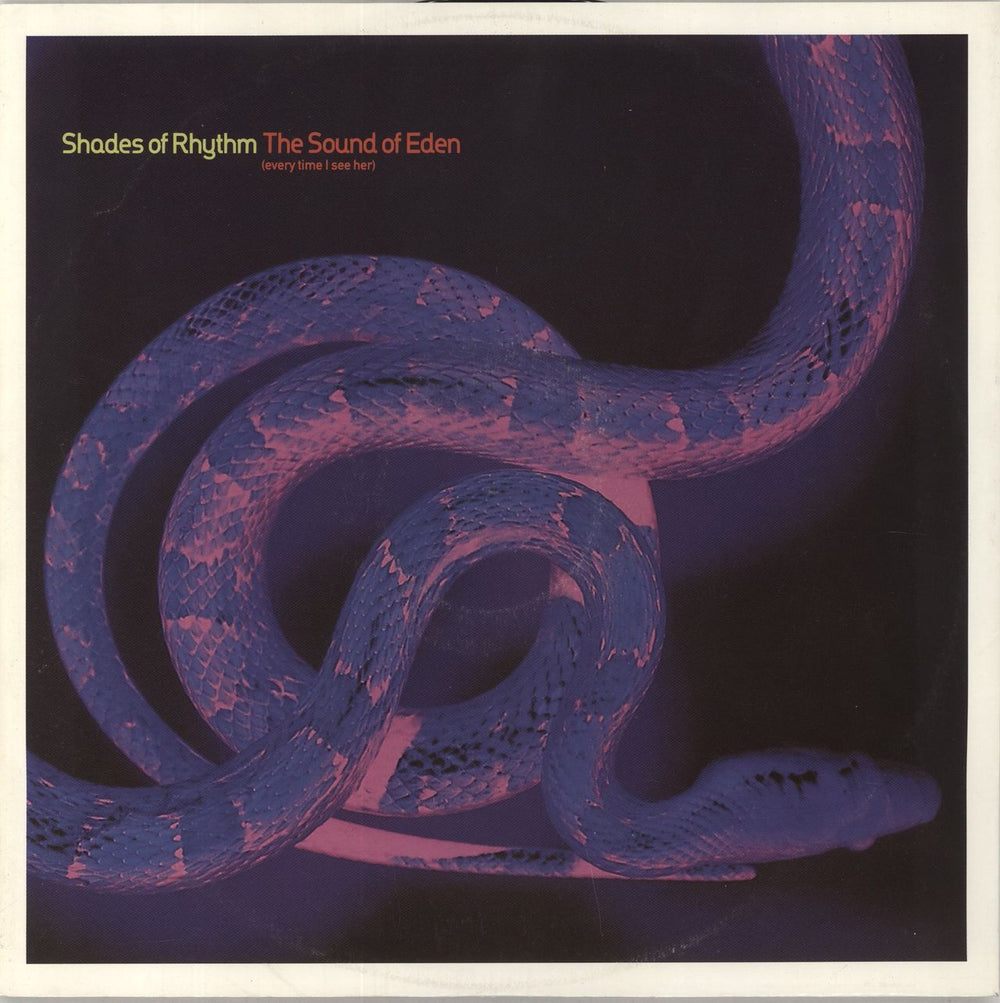 Shades Of Rhythm The Sound Of Eden (Everytime I See Her) VG UK 12" vinyl single (12 inch record / Maxi-single) ZANG22T