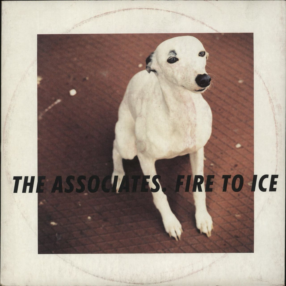The Associates Fire To Ice UK 10" vinyl single (10 inch record) YRX49