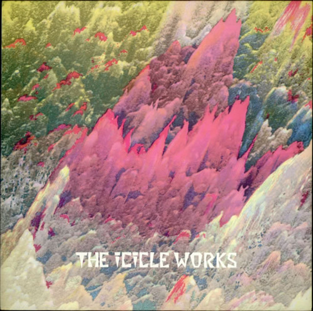 The Icicle Works Birds Fly (Whisper To A Scream) UK 12" vinyl single (12 inch record / Maxi-single) SIT22T