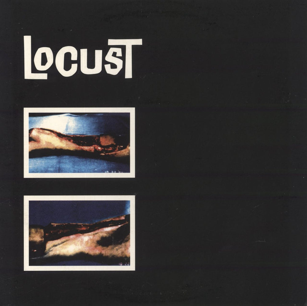 The Locust Our Earth's Blood Pt 2 / Locust US 10" vinyl single (10 inch record)