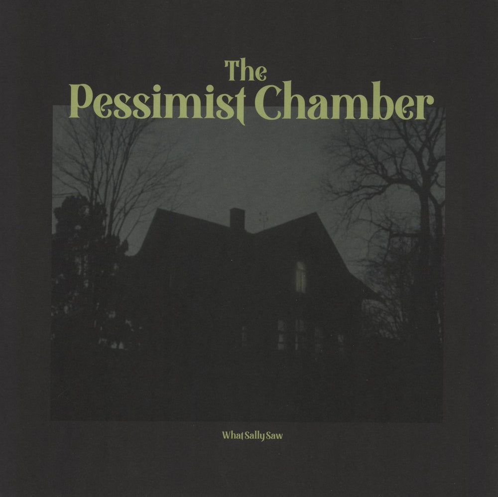 The Pessimist Chamber What Sally Saw Dutch vinyl LP album (LP record) NP01