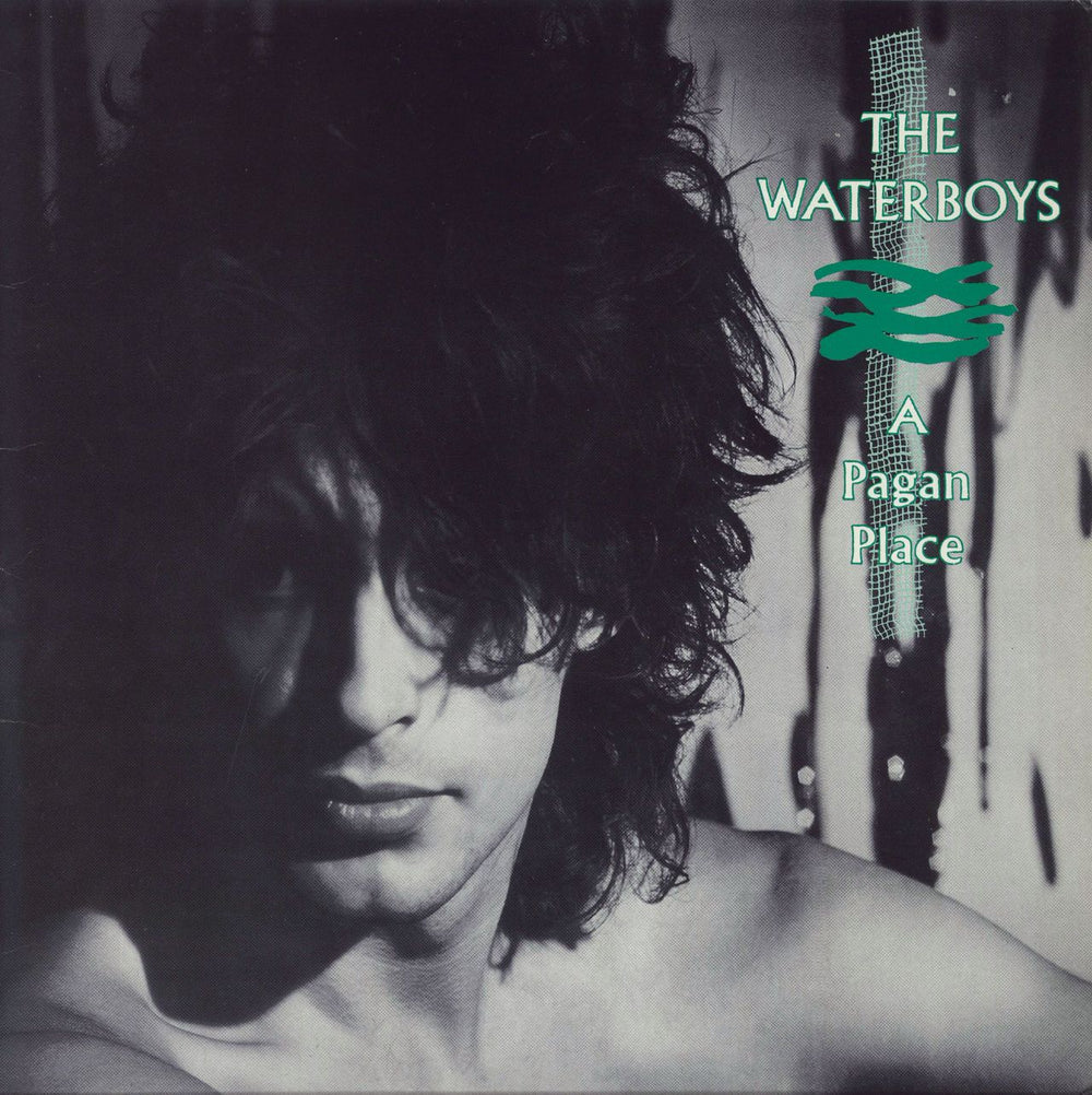The Waterboys A Pagan Place UK vinyl LP album (LP record) CHEN2