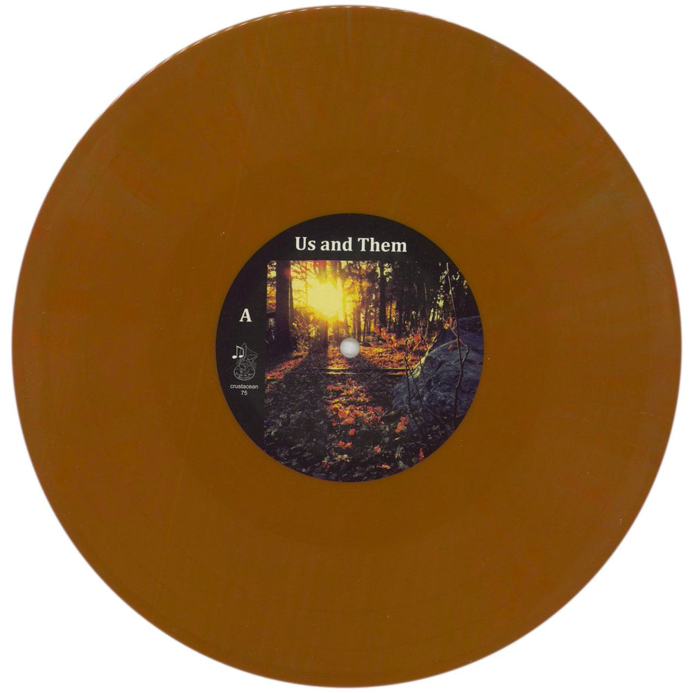 Us And Them Fading Within The Dwindling Sun UK 10" vinyl single (10 inch record) 25C10FA854470
