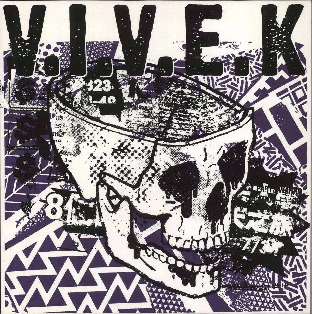 V.I.V.E.K