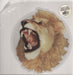 White Lion Radar Love UK shaped picture disc (picture disc vinyl record) A8836TEP