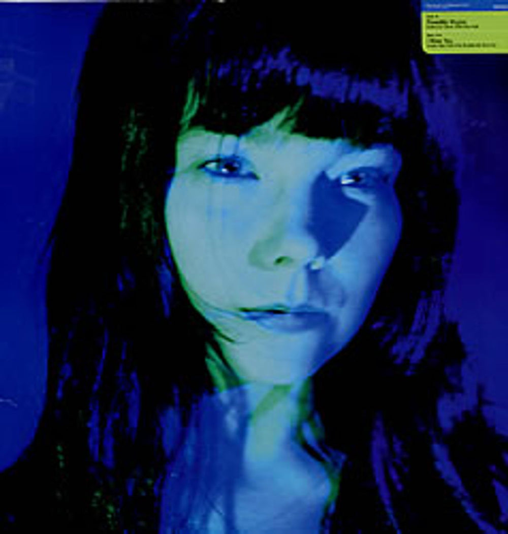 Björk Possibly Maybe - UK Limited Edition UK 12" vinyl single (12 inch record / Maxi-single) 193TP12TD