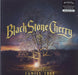 Black Stone Cherry Family Tree - Sealed UK 2-LP vinyl record set (Double LP Album) M75501