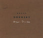 Bruce Hornsby Great Divide US Promo CD single (CD5 / 5") RDJ65588-2