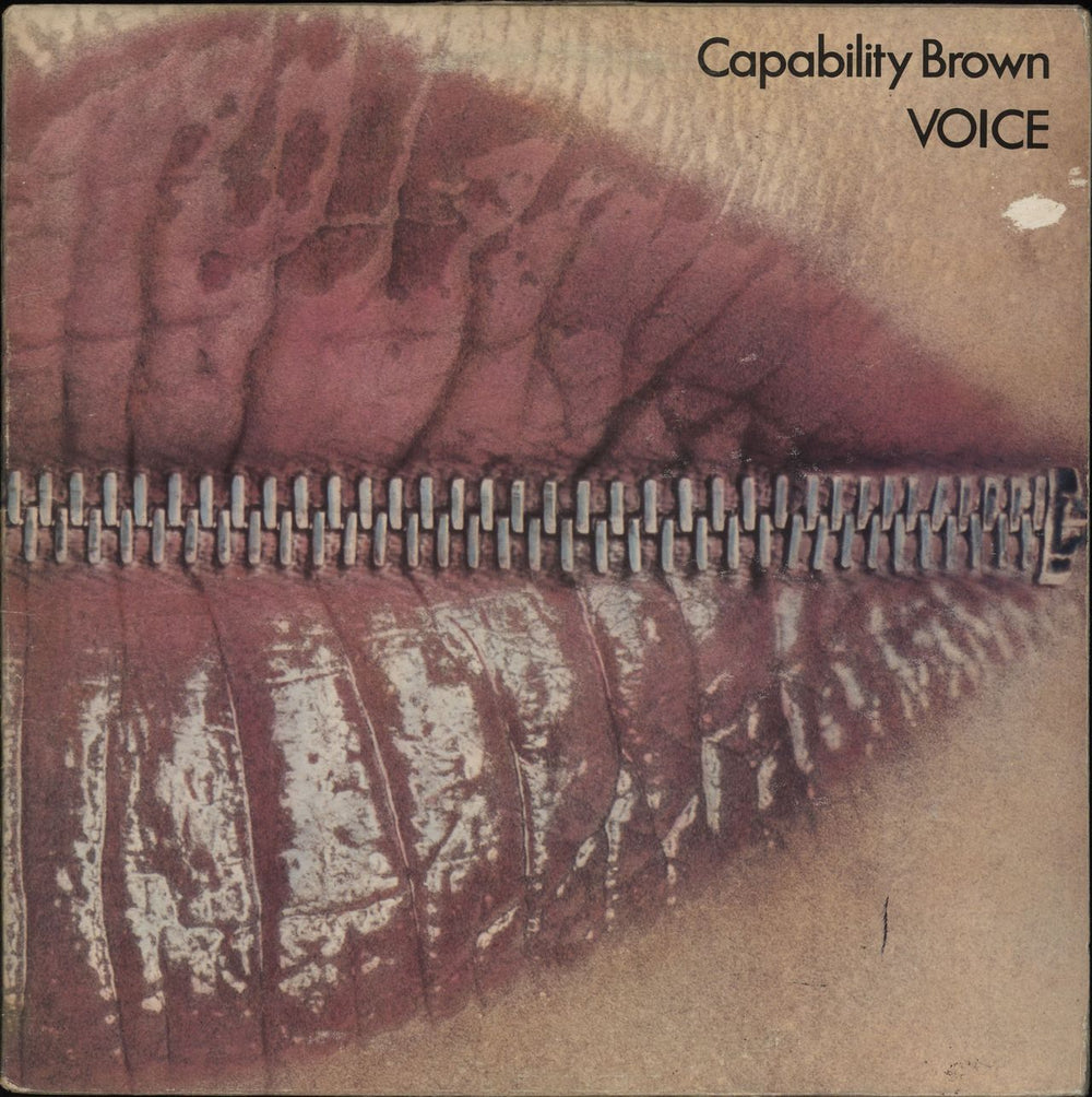 Capability Brown Voice - EX UK vinyl LP album (LP record) CAS1068