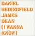 Daniel Bedingfield James Dean [I Wanna Know] UK Promo 12" vinyl single (12 inch record / Maxi-single) DB2