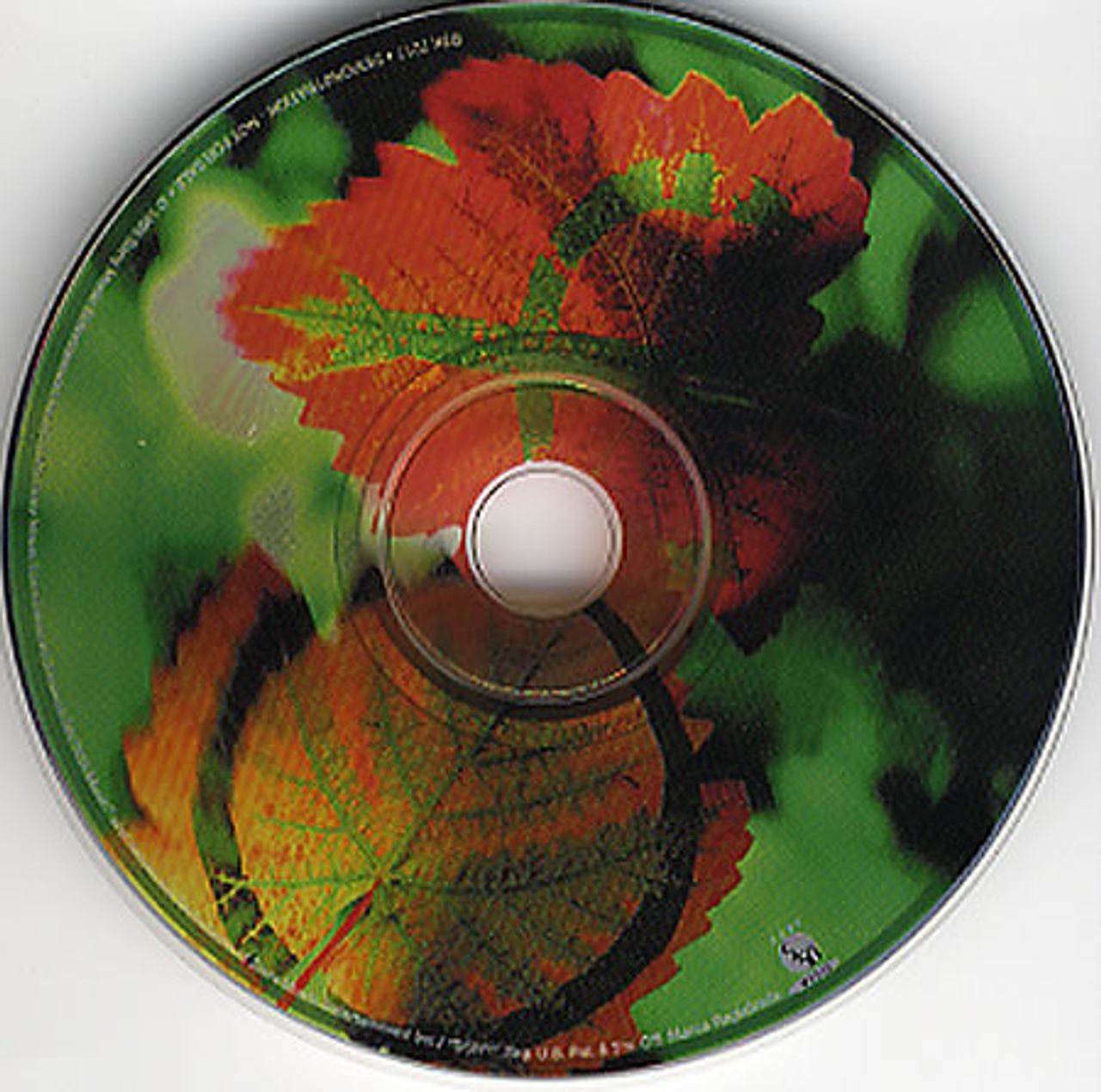 Deep Forest Marta's Song US Promo CD single (CD5 / 5") BSK7017