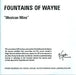 Fountains Of Wayne Mexican Wine UK Promo CD-R acetate CD-R ACETATE