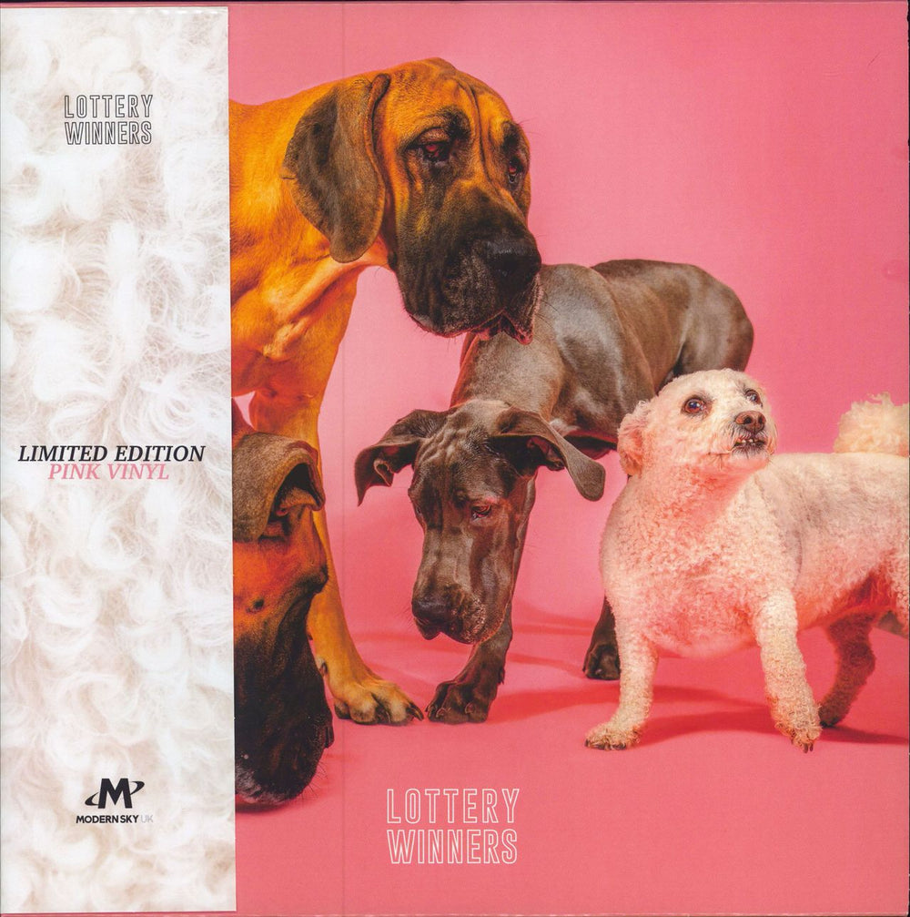 Lottery Winners Lottery Winners - Pink Vinyl UK vinyl LP album (LP record) M220-UK-LP