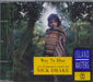 Nick Drake Way To Blue - An Introduction To Nick Drake UK CD album (CDLP) IMCD196