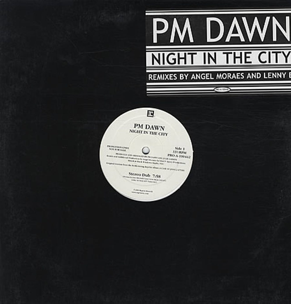 P. M. Dawn Night In The City US Promo 12" vinyl single (12 inch record / Maxi-single) PRO-A-100442