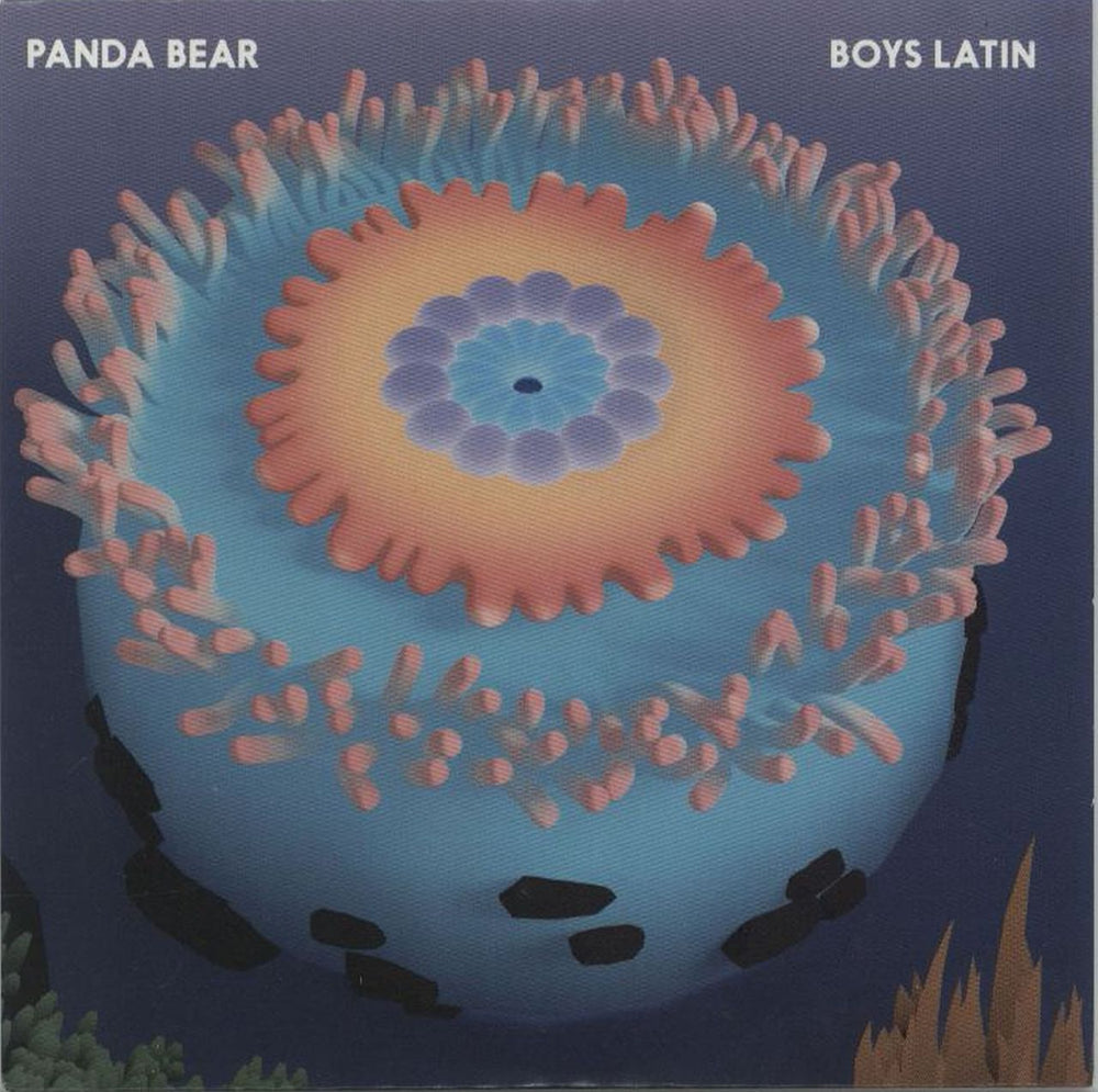 Panda Bear Boys Latin UK Promo CD single (CD5 / 5") RUG647CDP