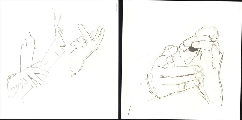 Paul McCartney and Wings Chaos And Creation In The Backyard UK vinyl LP album (LP record) 2005