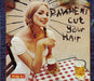 Pavement Cut Your Hair UK CD single (CD5 / 5") ABB55SCD
