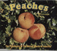 Presidents Of The USA Peaches Austrian CD single (CD5 / 5") CDM6629482