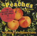 Presidents Of The USA Peaches Austrian Promo CD single (CD5 / 5") SAMPCD3191