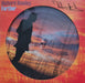 Richard Hawley Further - Autographed UK picture disc LP (vinyl picture disc album) 538489911