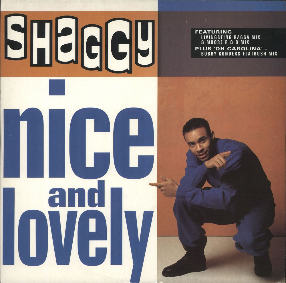 Shaggy Nice & Lovely UK 12" vinyl single (12 inch record / Maxi-single) GRED405