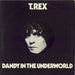 T-Rex / Tyrannosaurus Rex Dandy In The Underworld - EX -factory sample UK vinyl LP album (LP record) BLN5005