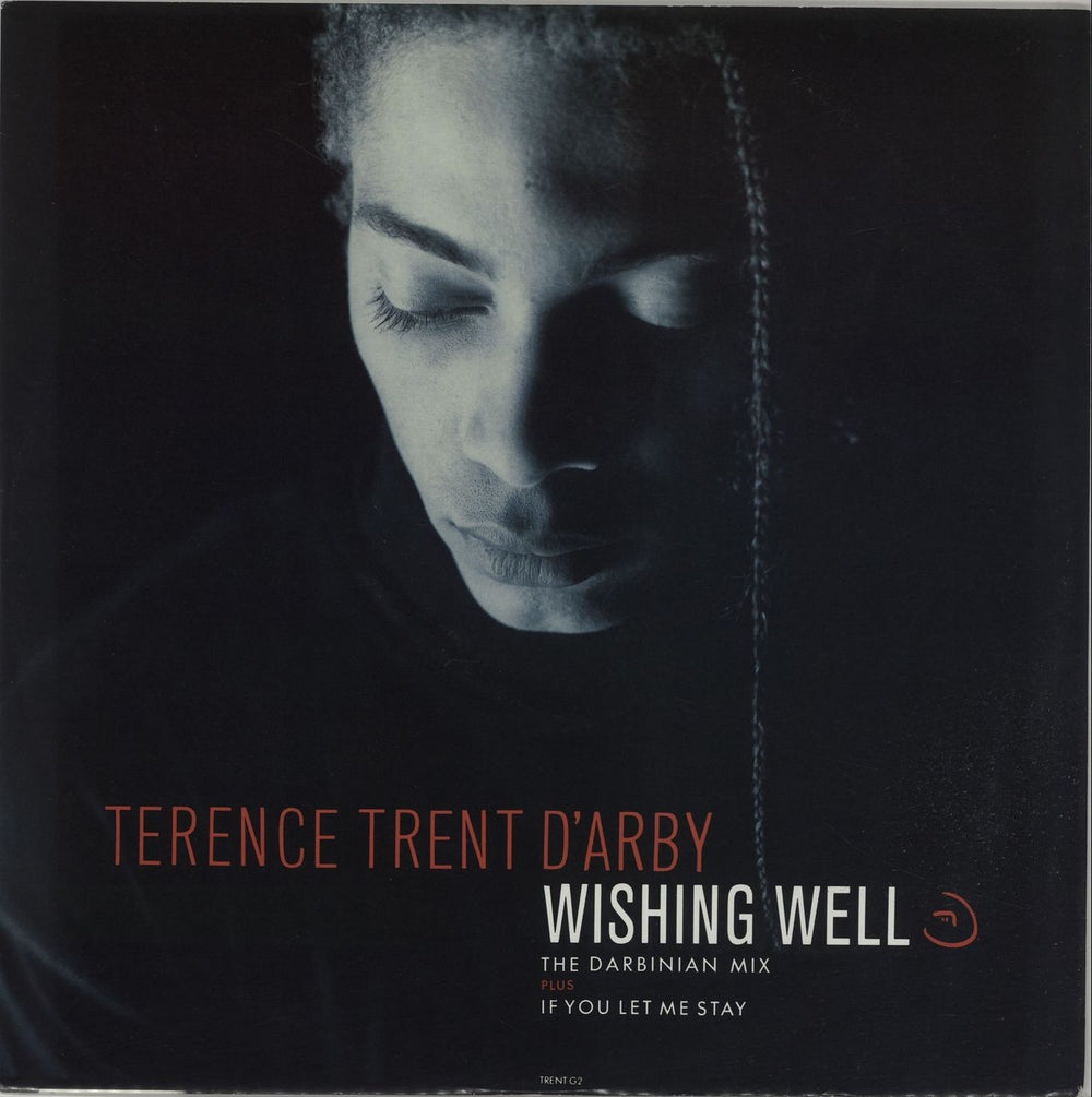 Terence Trent D'Arby Wishing Well - The Darbinian Mix UK 12" vinyl single (12 inch record / Maxi-single) TRENTG2